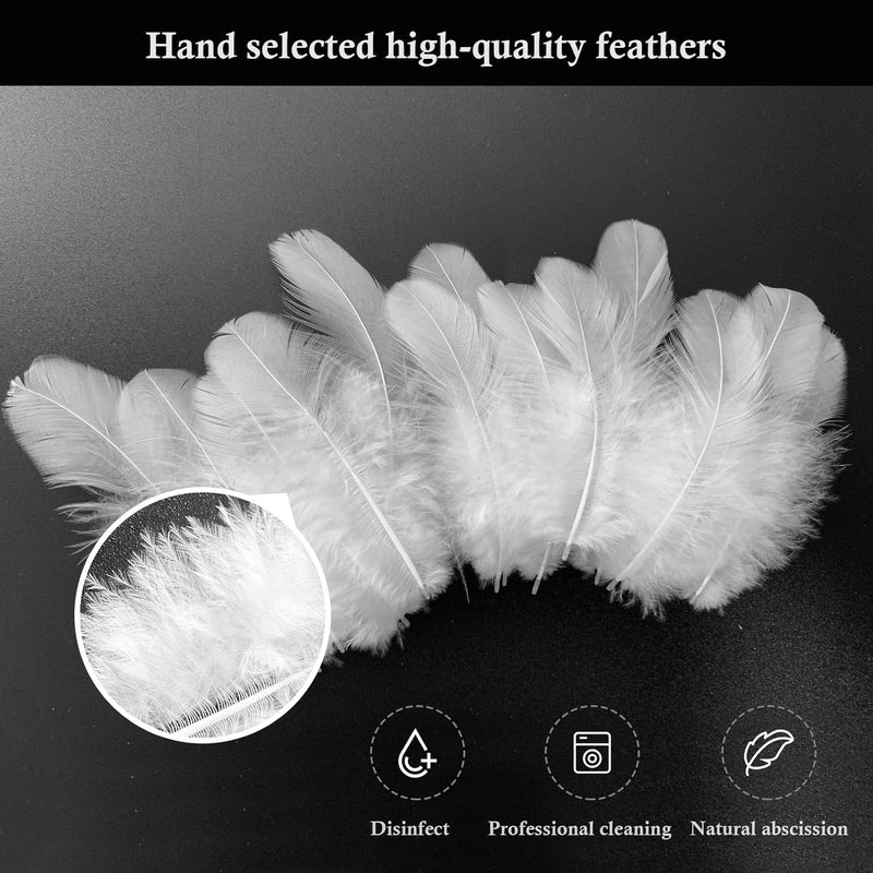 Flying feathers 500 قطعة - ريش دجاج أبيض 3-5 بوصة ريش بالجملة للحرف اليدوية وإمدادات صيد الأحلام (500 قطعة) - Image 3